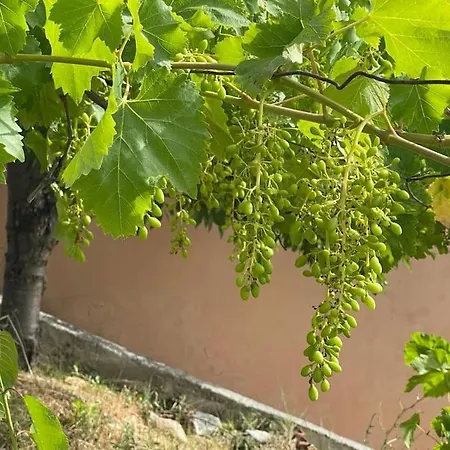 Holiday home Castagnola Vico Del Gargano