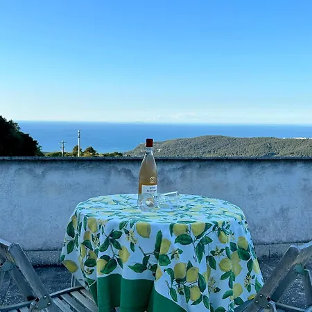Castagnola